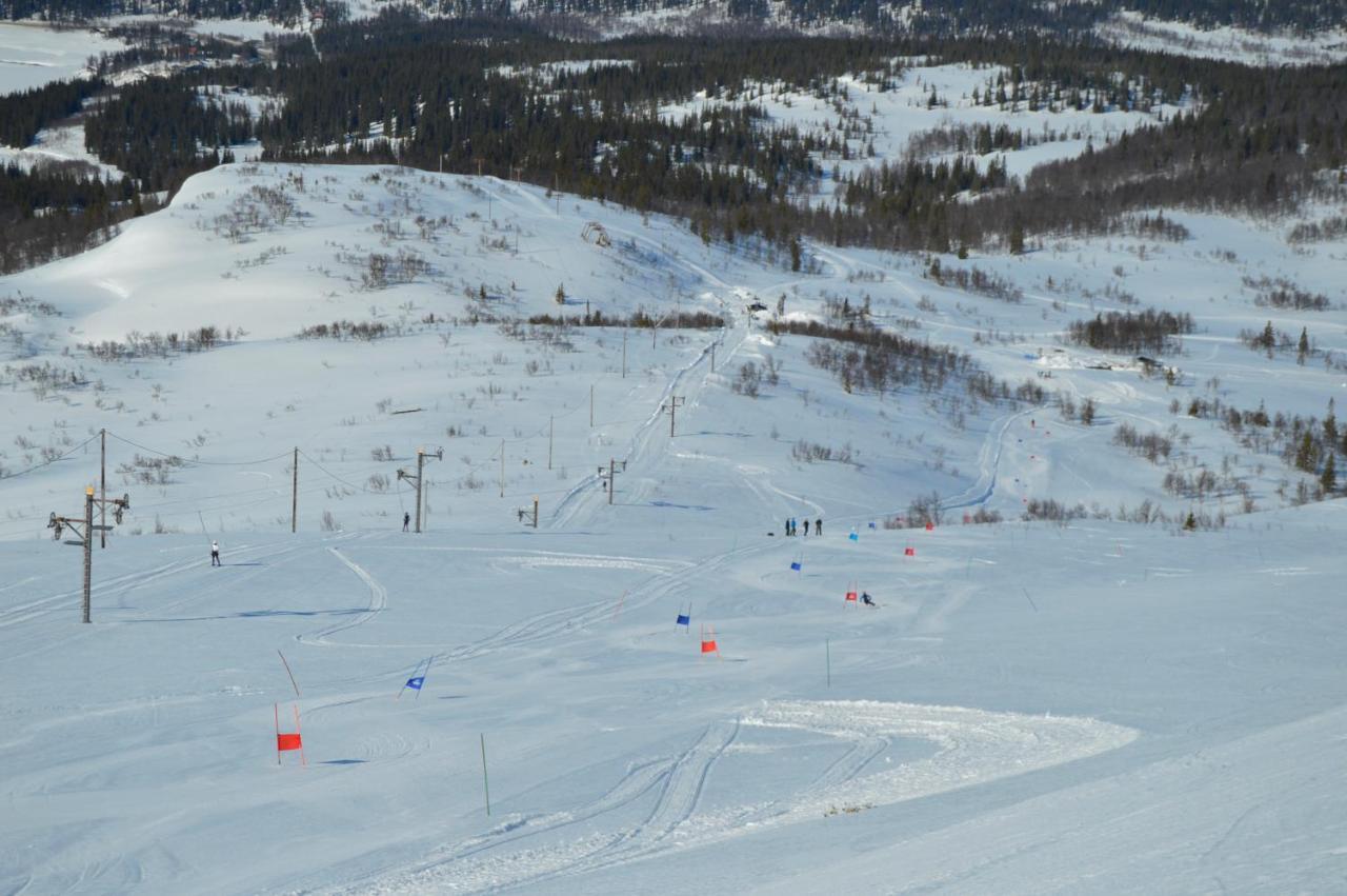 Lodge Blasjoens Stugby